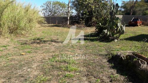 12 - Terreno/Lote