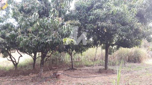 14 - Terreno/Lote
