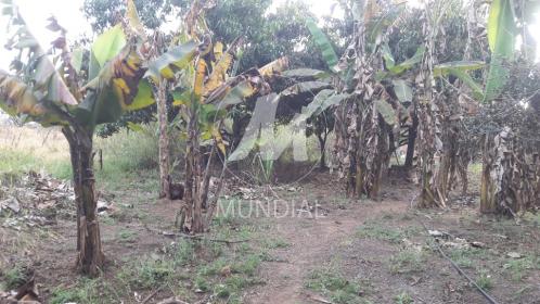 15 - Terreno/Lote