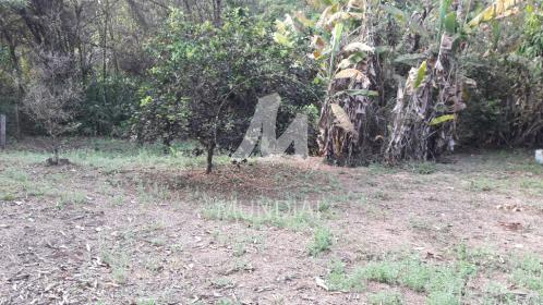 16 - Terreno/Lote