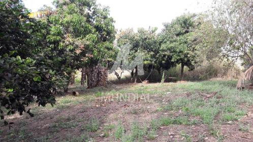 17 - Terreno/Lote