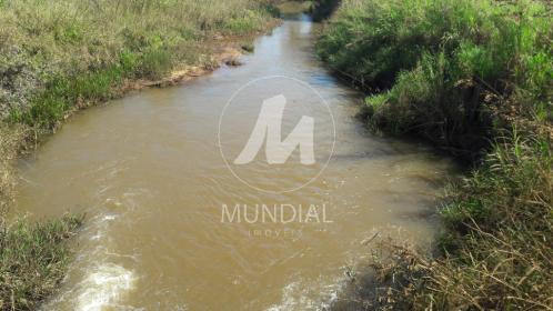 7 - Terreno/Lote