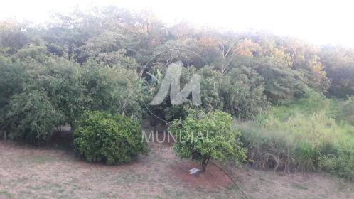 19 - Terreno/Lote
