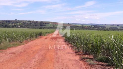 21 - Terreno/Lote