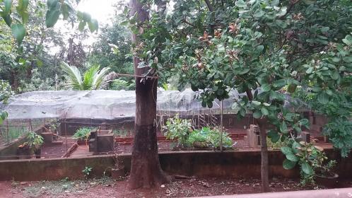 20 - Quintal/corredores