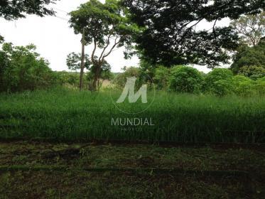 2 - Terreno/Lote