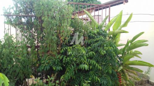14 - Quintal/corredores