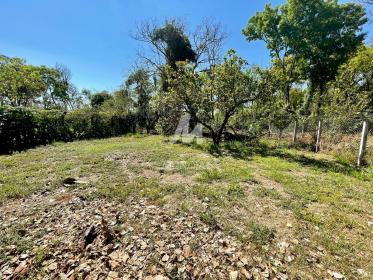 27 - Quintal/corredores
