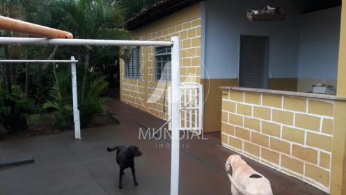 14 - Quintal/corredores