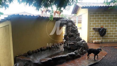 15 - Quintal/corredores