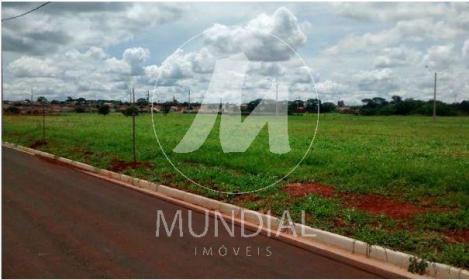 2 - Terreno/Lote
