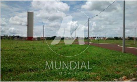 4 - Terreno/Lote