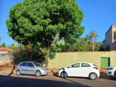 1 - Terreno/Lote