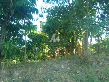 5 - Terreno/Lote