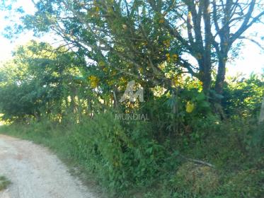 9 - Terreno/Lote