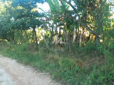 10 - Terreno/Lote