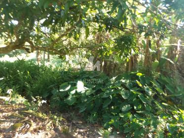 25 - Terreno/Lote
