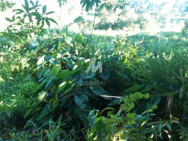 26 - Terreno/Lote