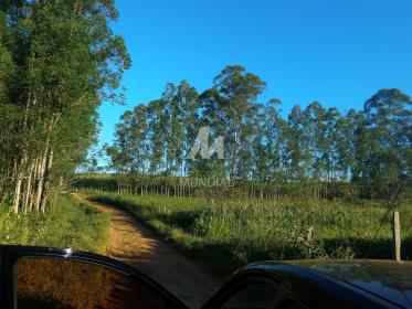 29 - Terreno/Lote