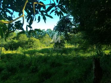 31 - Terreno/Lote