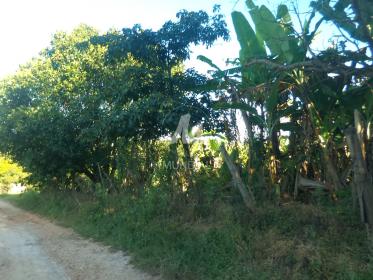 33 - Terreno/Lote