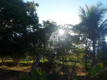 39 - Terreno/Lote