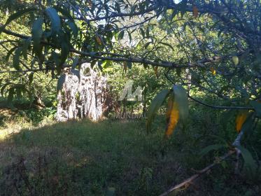 40 - Terreno/Lote