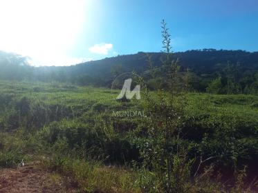 41 - Terreno/Lote