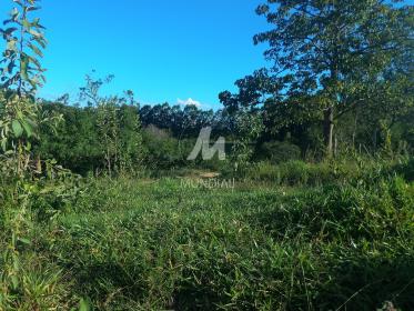 42 - Terreno/Lote