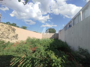 2 - Terreno/Lote