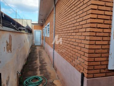 19 - Quintal/corredores
