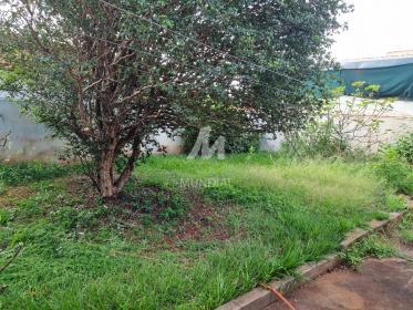 20 - Quintal/corredores