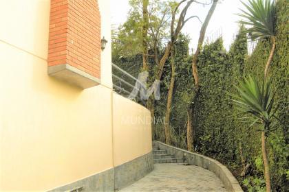 31 - Quintal/corredores