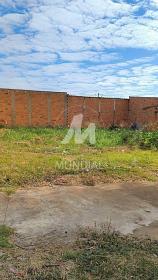 1 - Terreno/Lote