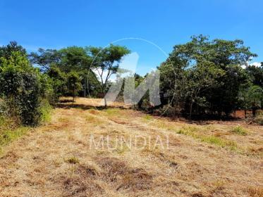 2 - Terreno/Lote