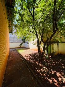 37 - Jardim
