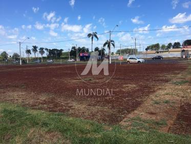 1 - Terreno/Lote
