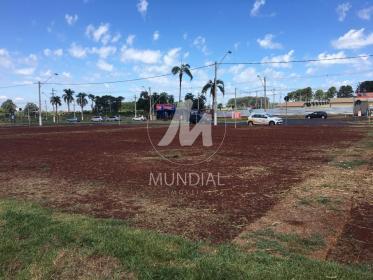 4 - Terreno/Lote