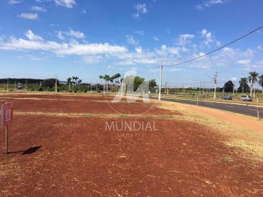 5 - Terreno/Lote