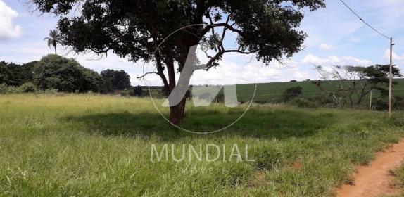 2 - Terreno/Lote