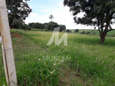 3 - Terreno/Lote
