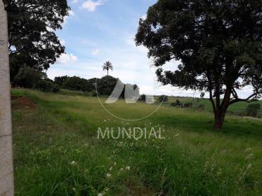 6 - Terreno/Lote