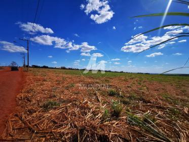 1 - Terreno/Lote