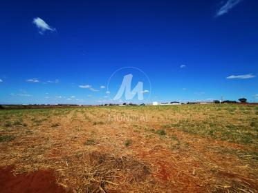2 - Terreno/Lote