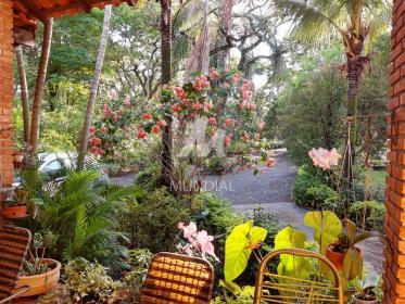 25 - Jardim
