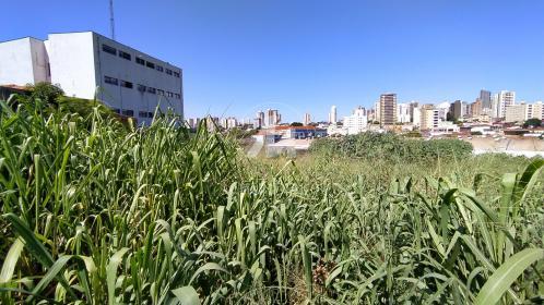 5 - Terreno/Lote