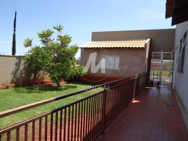31 - Quintal/corredores