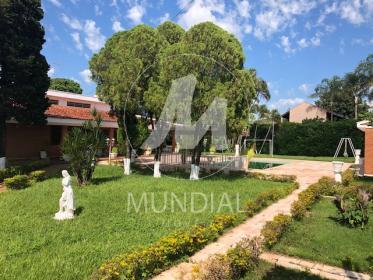 6 - Jardim