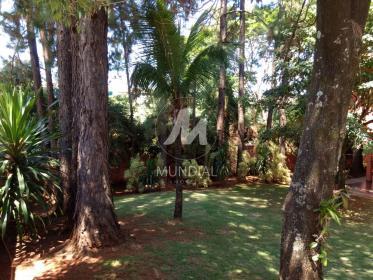 4 - Quintal/corredores