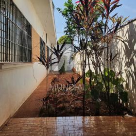 12 - Quintal/corredores